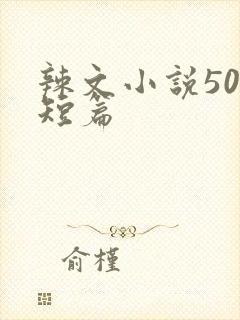 辣文小说500短篇封面
