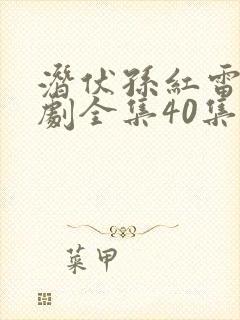 潜伏孙红雷电视剧全集40集免费观看