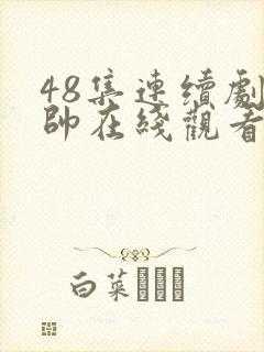 48集连续剧少帅在线观看封面