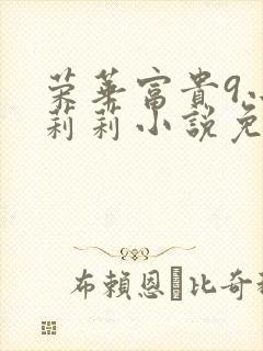 荣华富贵9小王莉莉小说免费阅读