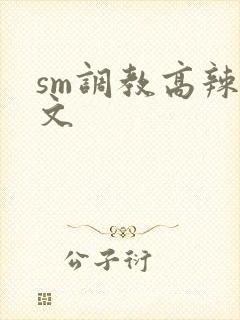 sm调教高辣h文