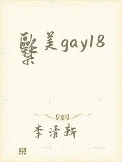 欧美gay18禁