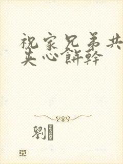 祝家兄弟共享后夹心饼干封面