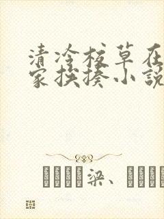 清冷校草在学霸家挨揍小说