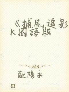 《捕风追影》4k国语版