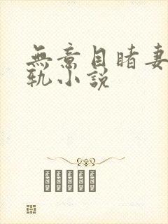 无意目睹妻子出轨小说