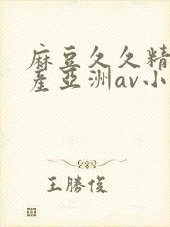 麻豆久久精品国产亚洲av小说