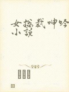女总裁呻吟高潮小说