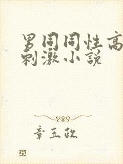 男同同性高h超刺激小说