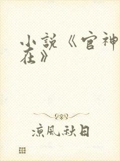 小说《官神何常在》