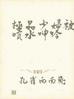 极品少妇被啪到喷水呻吟