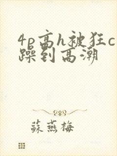 4p高h被狂c躁到高潮
