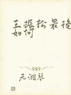 王振松最后结局如何