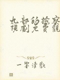 九部的检察官电视剧免费观看全集高清