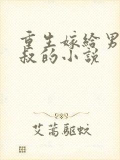 重生嫁给男主他叔的小说
