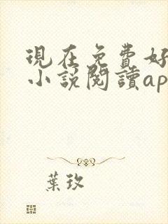 现在免费好用的小说阅读app