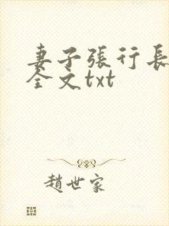 妻子张行长升职全文txt