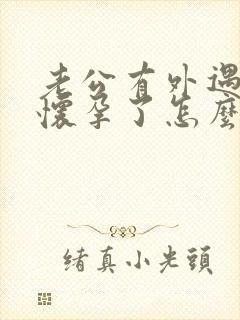 老公有外遇小三怀孕了怎么办封面