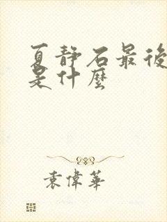 夏静石最后结局是什么