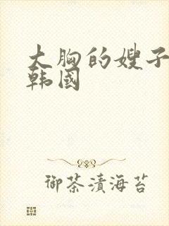 大胸的嫂子电影韩国