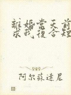 离婚当天前夫跪求我复合短剧封面