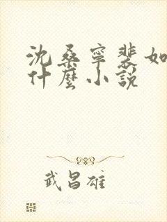 沈桑宁裴如衍是什么小说