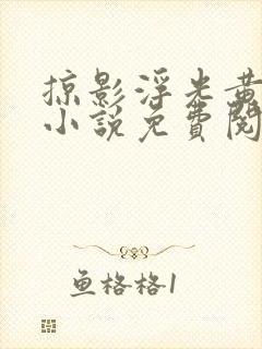 掠影浮光黄泉落小说免费阅读