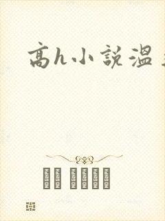 高h小说温柔的