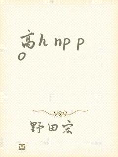 高h np po