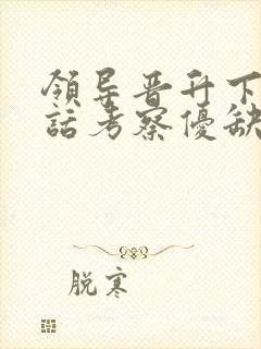 领导晋升下属谈话考察优缺点