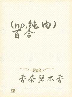 (np,纯肉)百合