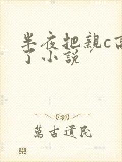 半夜把亲c高潮了小说