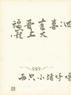 福晋有喜:四爷,宠上天