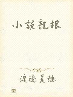小说龙根