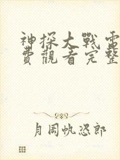 神探大战电影免费观看完整版国语