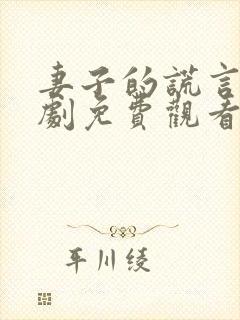 妻子的谎言电视剧免费观看全集
