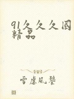91久久久国产精品封面