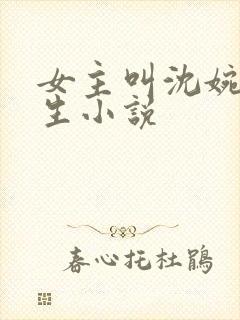 女主叫沈婉的重生小说