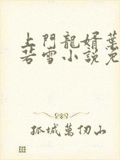 上门龙婿叶凡唐若雪小说免费