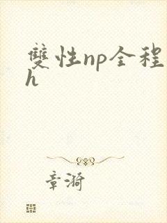 双性np全程高h