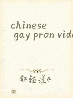 chinese gay pron videos