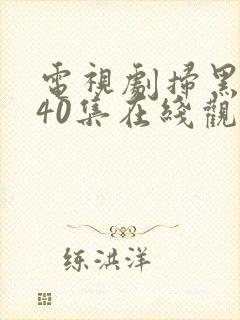 电视剧扫黑风暴40集在线观看免费