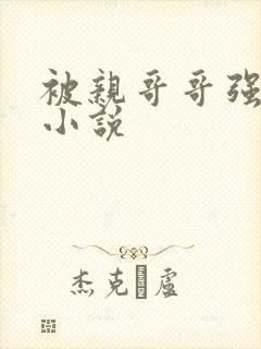 被亲哥哥强制了小说封面