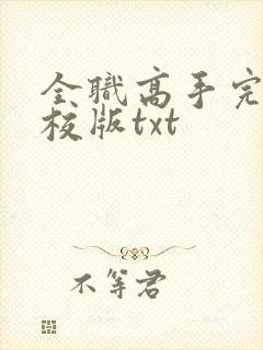 全职高手完整精校版txt