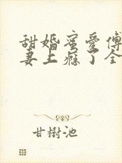 甜婚蜜爱傅少追妻上瘾了全文阅读封面