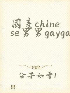 国产chinese男男gaygay1069