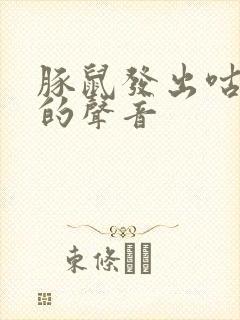 豚鼠发出咕咕咕的声音封面