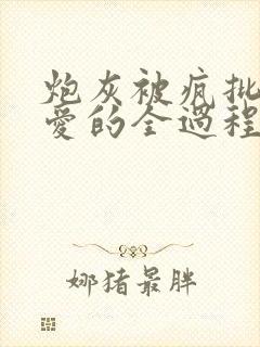 炮灰被疯批强制爱的全过程结局