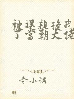 被退亲后我嫁给了当朝大佬