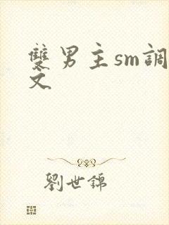 双男主sm调教文